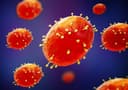 Confirmed case of monkeypox in US by Aug 31?