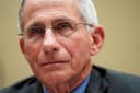 Fauci jail in 2024?