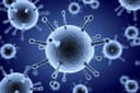 Flu Hospitalization Rate Week 6, 2026?