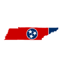 Tennessee Senate Election Winner