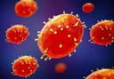 Monkeypox lab leak confirmed by US in 2024?