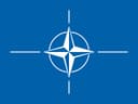 NATO article 5 before March?