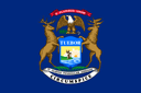 MI-11 Democratic Primary Winner