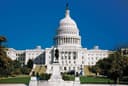 Who will win the 2026 Democratic D.C. Mayoral Primary?