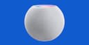 Will Apple release Homepod Mini Successor by June 30?