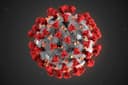 Will there be more than 160 million confirmed COVID-19 cases globally by May 10, 2021?